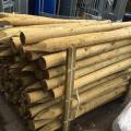 Fencing Posts and Rails