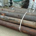 Fencing Posts and Rails